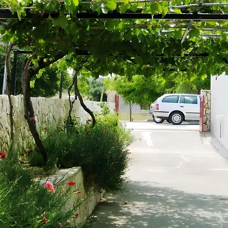 In Razanac - Zadar Riviera 41401